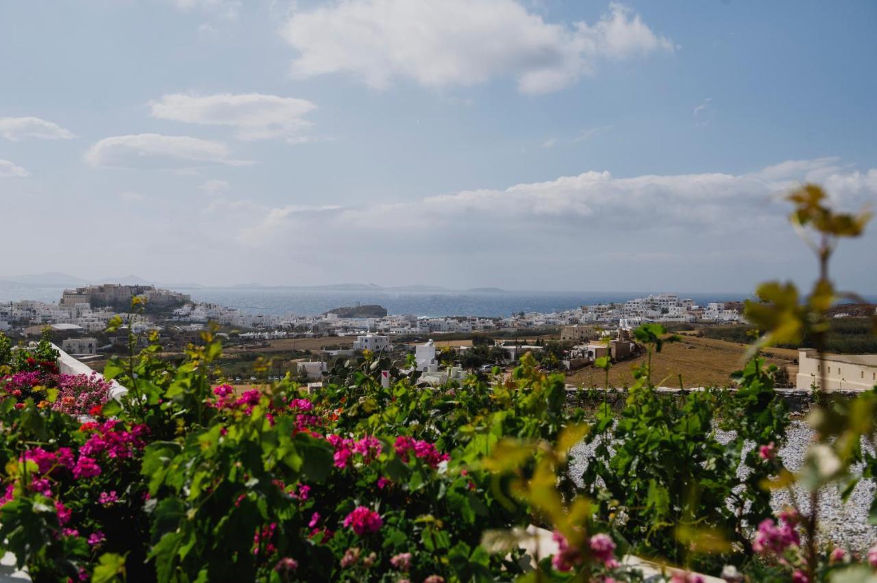 Petros Studios & Suites Naxos City Exterior foto